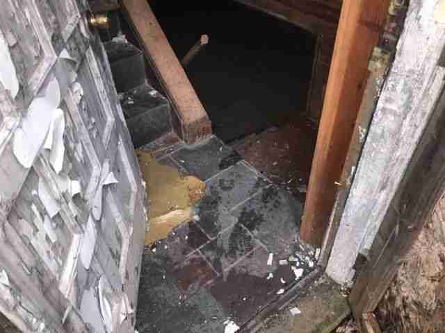 Testing again(21).jpg